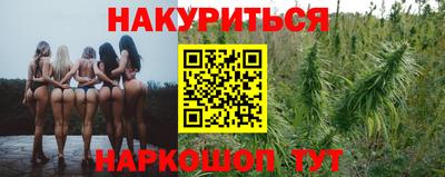 spice Кингисепп