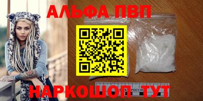 spice Кингисепп
