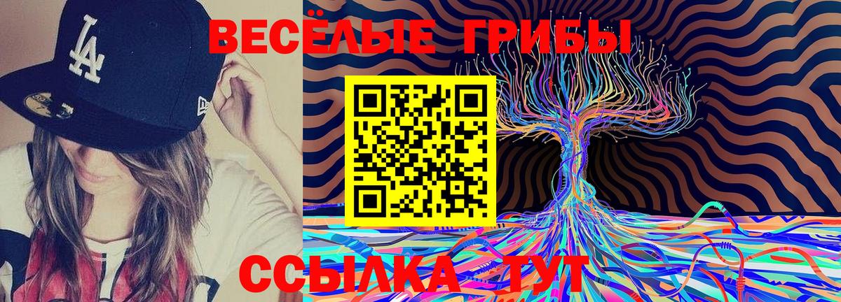Галлюциногенные грибы Psilocybine cubensis  Вход с VPN  Псилоцибиновые грибы Psilocybine cubensis  Зеленокумск 