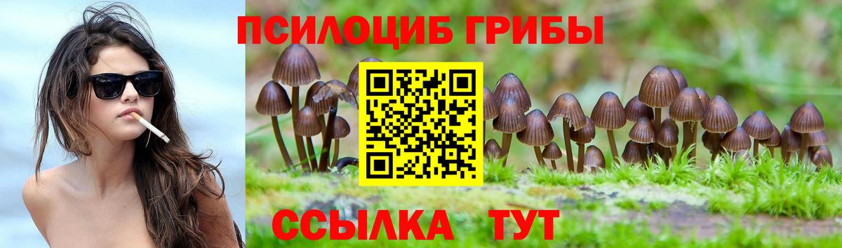 Псилоцибиновые грибы GOLDEN TEACHER Зеленокумск